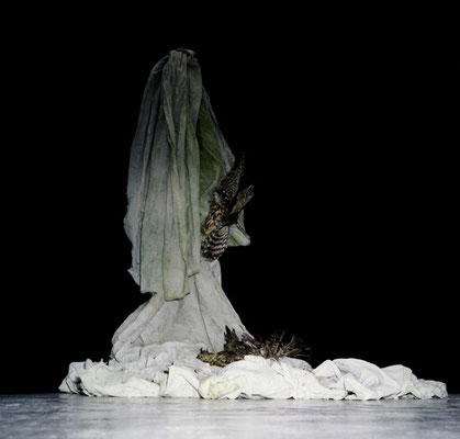 Michael Koch: Cantico delle Creature, 2014, Installation, C-Print