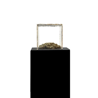 Michael Koch: Favo, 2014, mixed media installation