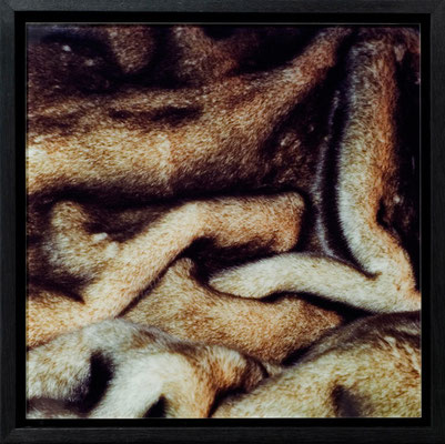 Michael Koch: Roxy, 2008, C-Print, Diasec, gerahmt/Schattenfuge, 25cm x 25cm