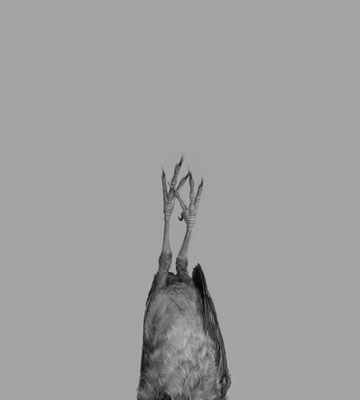 Michael Koch: Annabel, 2018, Lambdaprint, Diasec