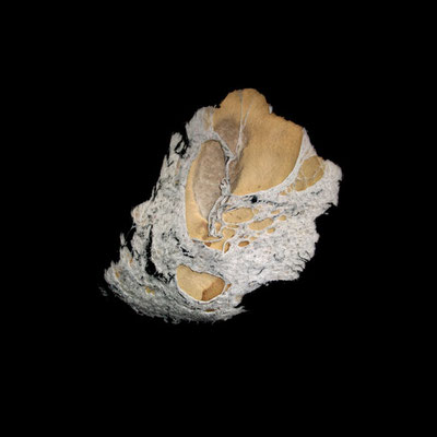 Michael Koch: Eyja, 2012, C-Print, Diasec