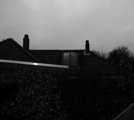 Michael Koch: Dorf (Klebevogel) 2014, C-Print