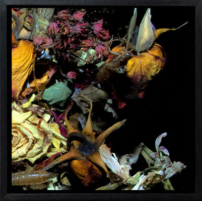 Michael Koch: Bouquet, 2011, C-Print, Diasec, gerahmt/Schattenfuge, from: arena
