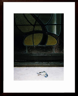 Michael Koch: Tiffany, 2002, C-Print, framed, from: arvo