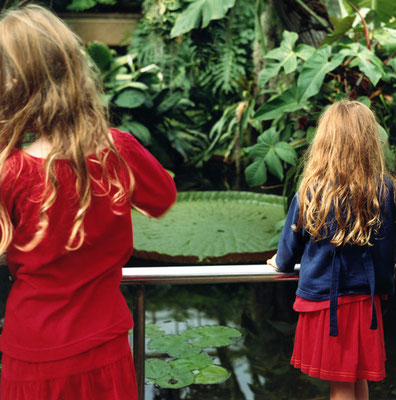 Michael Koch: Manderly, 2002, C-Print, from: Gala