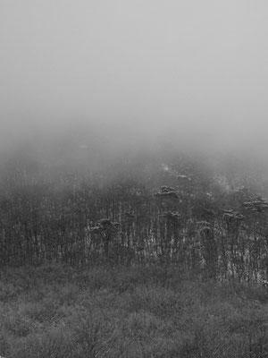 Michael Koch: Fog Mountains, 2016, Lambdaprint, Diasec