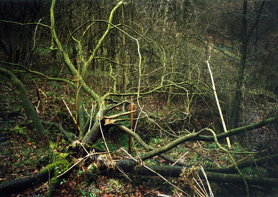 Michael Koch: Hypnos, 2002, C-Print, from: arvo