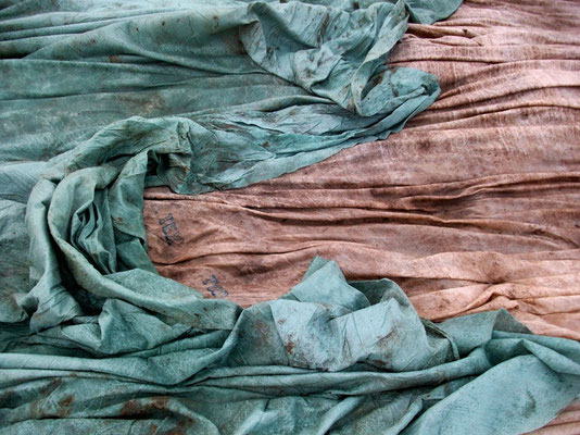 Michael Koch: Tex Top, 2013, C-Print, Diasec