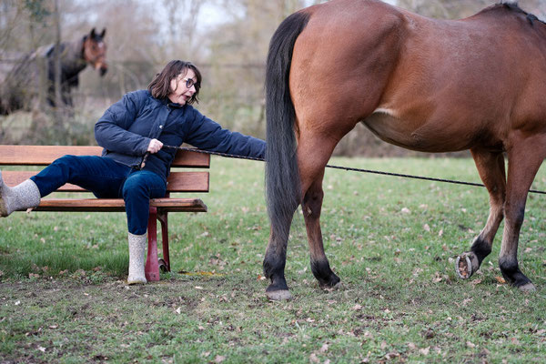 femme assise sur un banc tient les rênes de son cheval qui tire dessus