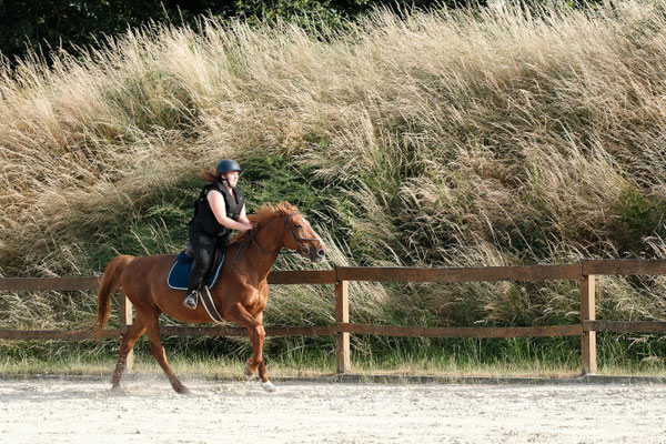 femme sur cheval au galop devant de la végétation