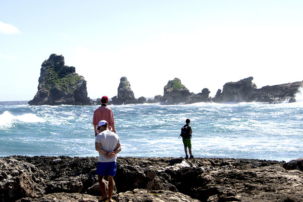 GOUADELOUPE: La pointe des chateaux