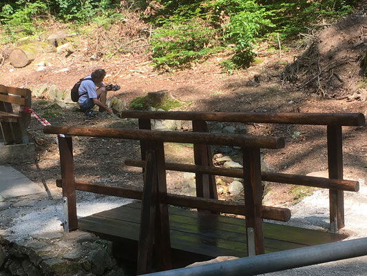 Brücke über den Gehrner Bach - für Jahrhunderte.