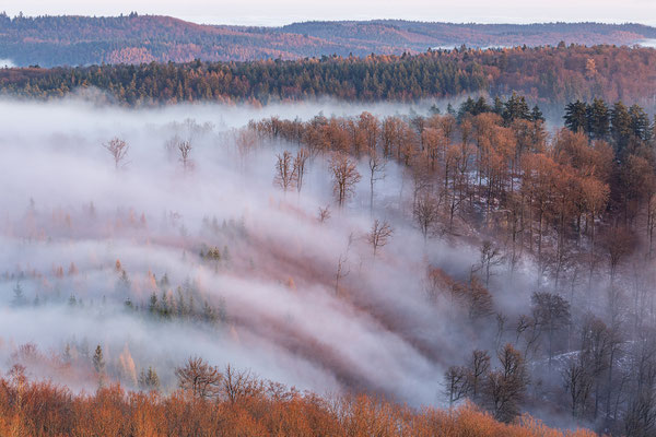 Nebelmorgen am Luitpoldturm