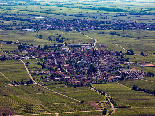 Blick auf Rhodt und Edesheim, 80 x 60cm, Alu-Dibond mit Fotopapier, Rückseitige Hängung mit Aluminiumschiene, 150 €