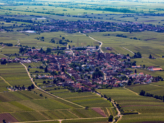 Blick auf Rhodt und Edesheim, 80 x 60cm, Alu-Dibond mit Fotopapier, Rückseitige Hängung mit Aluminiumschiene, 150 €