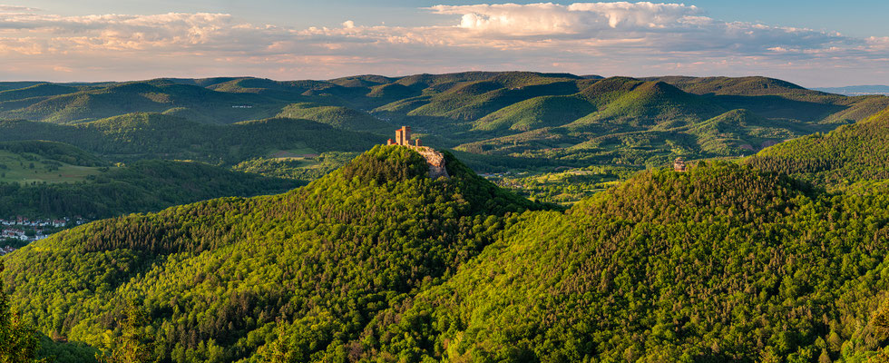 Frühsommerabend auf dem Rehbergturm