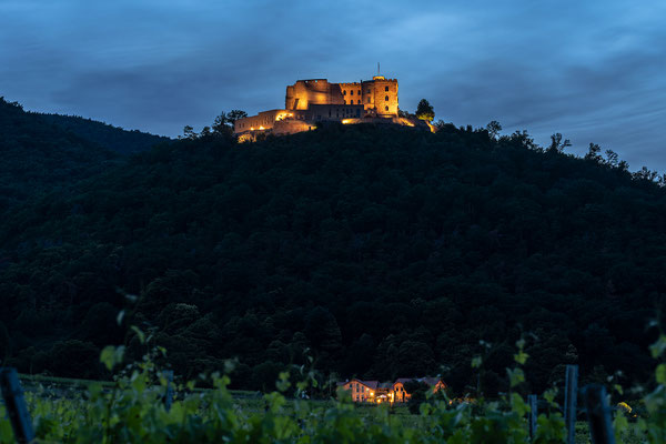 Blaue Stunde am Hambacher Schloss