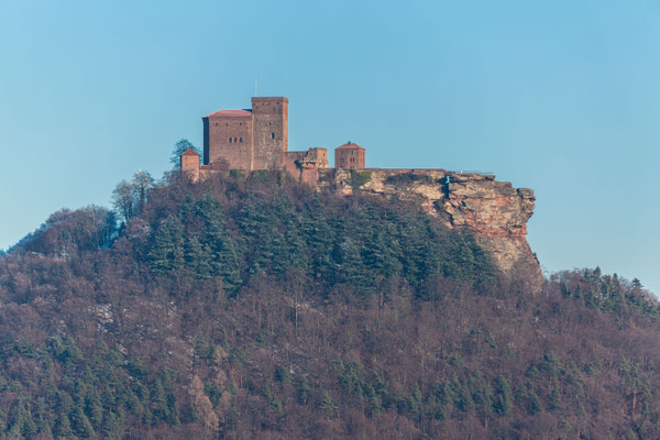 Winter am Trifels