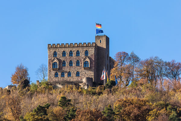 Herbst am Hambacher Schloss