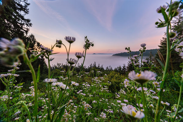 Nebelstimmung am Eyberg