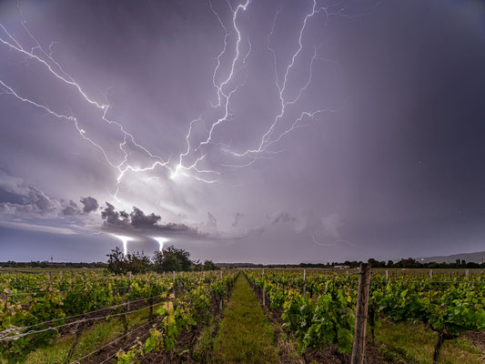Gewitter zwischen Neustadt und Mussbach