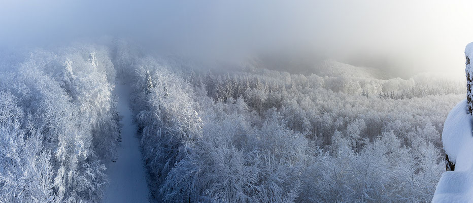 Neblige Schneelandschaft am Luitpoldturm