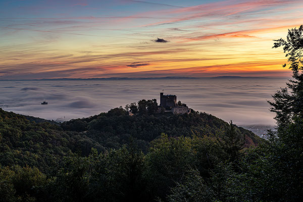 Zauberhafter Morgen am Hambacher Schloss