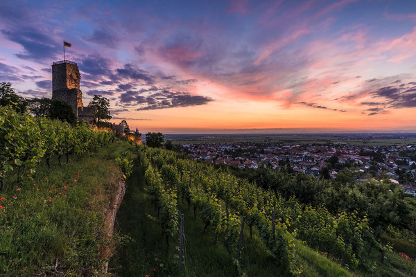 Morgendämmerung auf der Wachtenburg