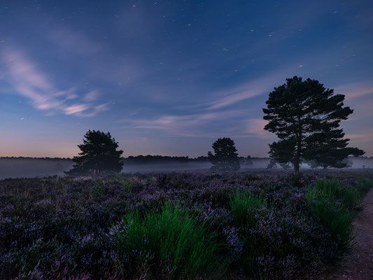 Toller Morgen in der Mehlinger Heide