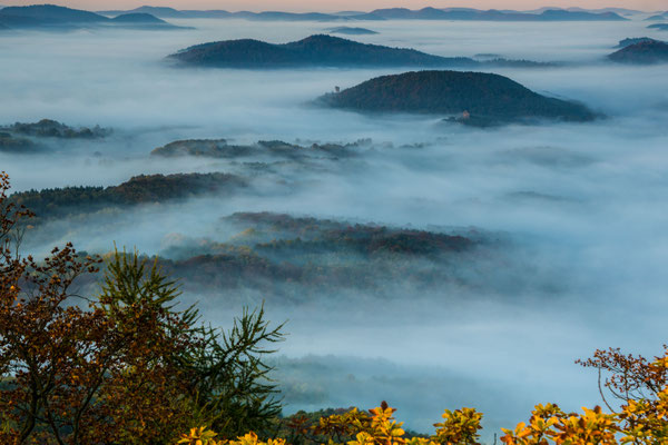 Landschaft im Nebel