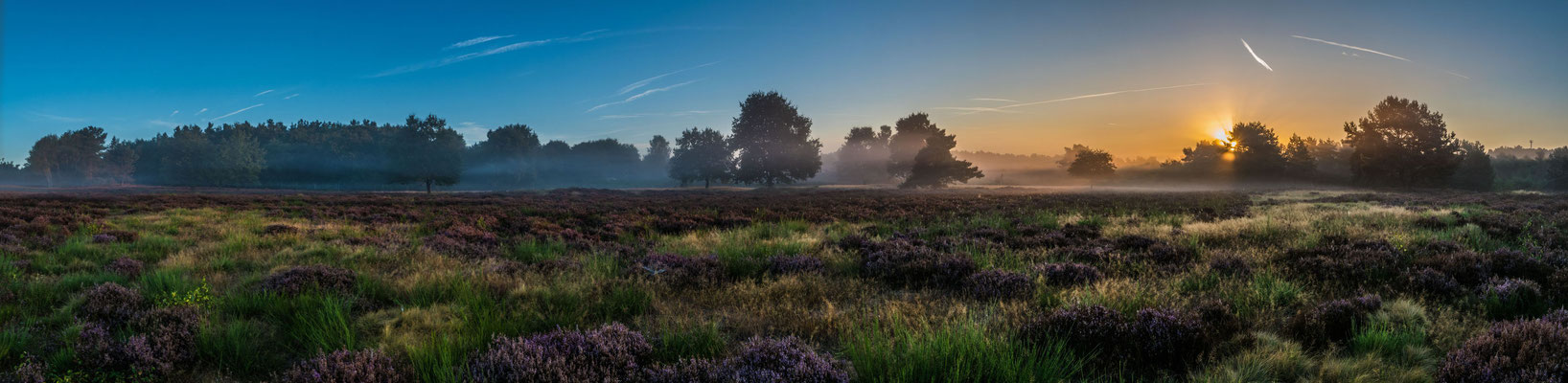 Sonnenaufgang in der Mehlinger Heide