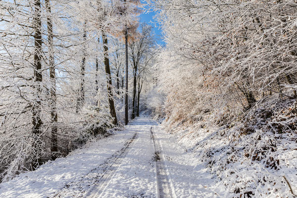 Wanderung zum Rahnfelsen