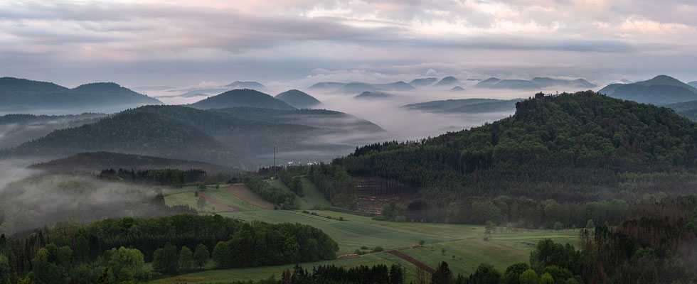 Nebelmorgen auf der Burgruine Lindelbrunn