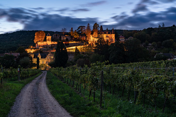 Haardter Schloss in der Blauen Stunde