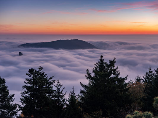 Nebelmorgen am Rehbergturm