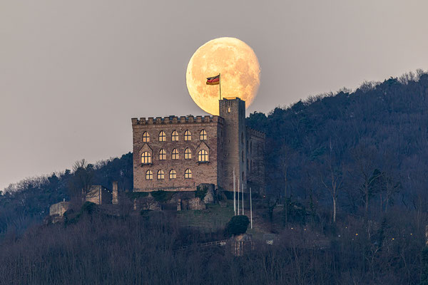 Morgendlicher Monduntergang hinter dem Hambacher Schloss