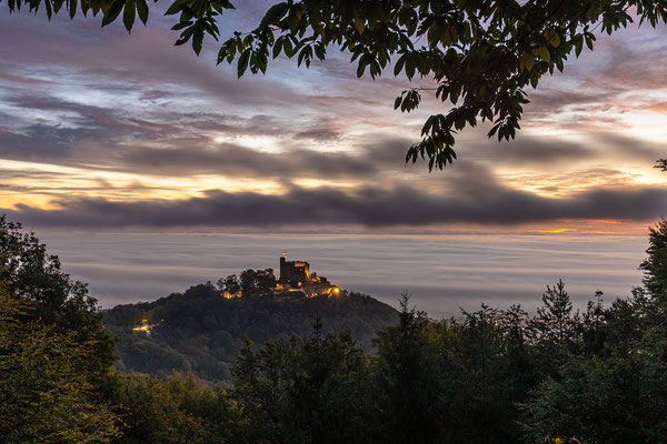 Nebliger Herbstmorgen über dem Hambacher Schloss