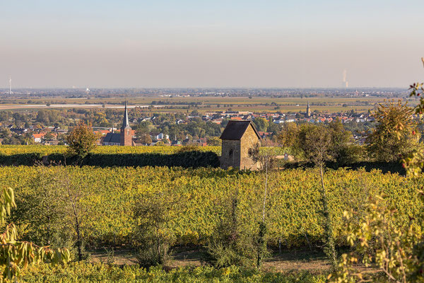 Blick auf Deidesheim und Ruppertsberg