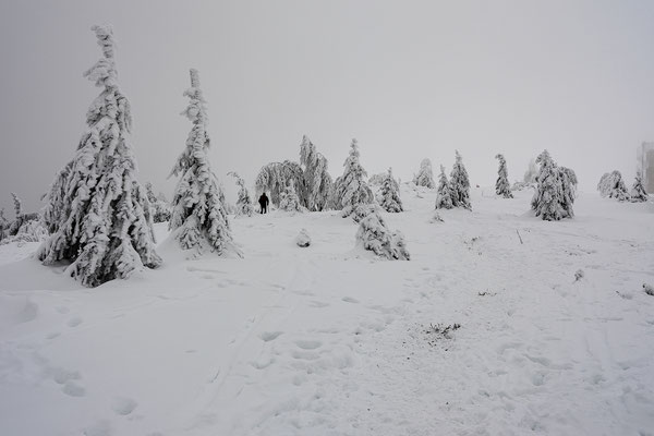 Winter auf der Hornisgrinde