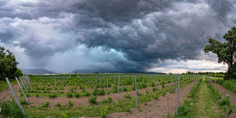 Gewitterstimmung bei Neustadt