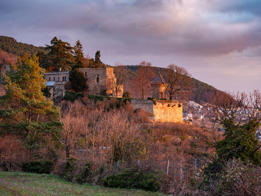 Morgenstimmung am Deidesheimer Tempel