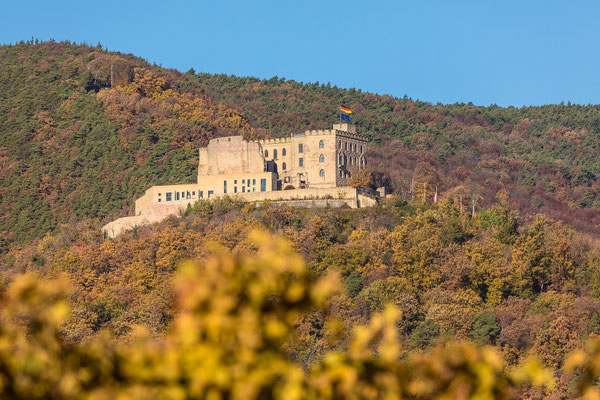 Herbst am Hambacher Schloss