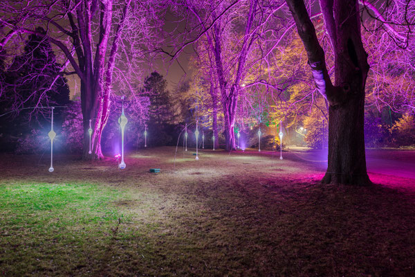 Luisenpark Mannheim in der Nacht