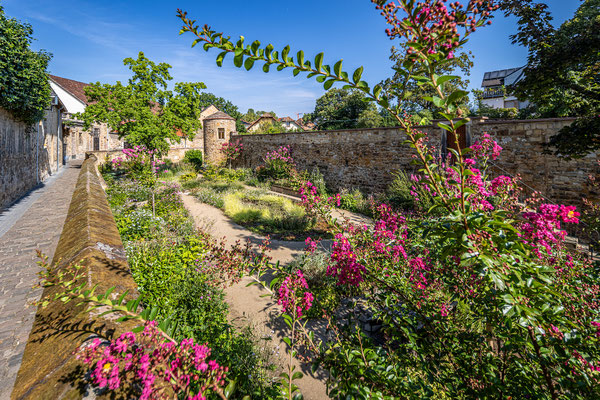 Schlosspark in Deidesheim