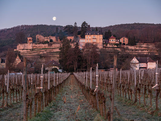 Monduntergang hinter dem Haardter Schloss