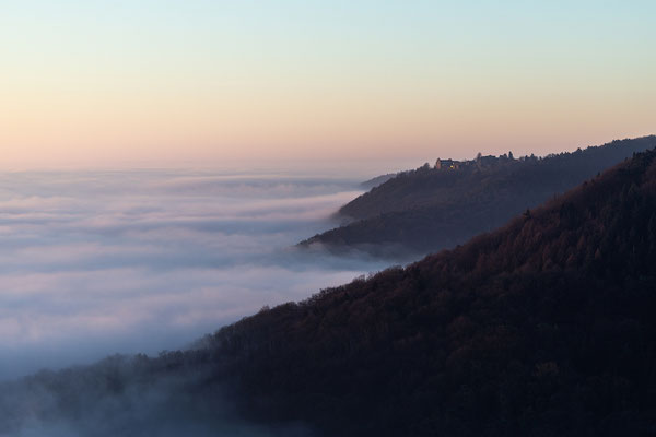 Ausblick auf die neblige Rheinebene