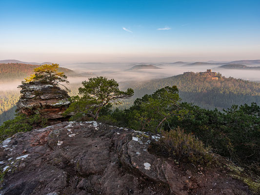 Buchkammerfels im Morgennebel