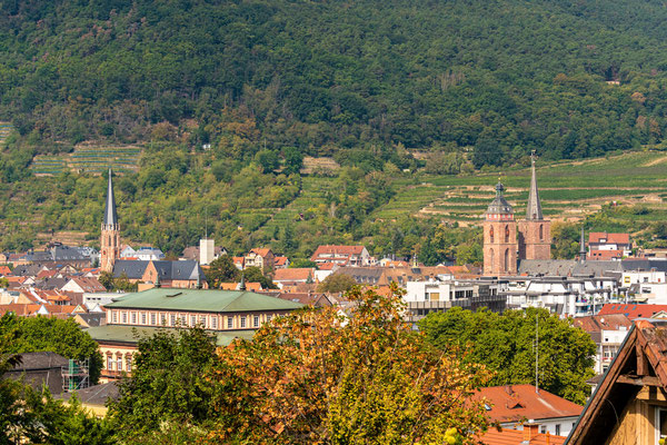 Stadtpanorama von Neustadt