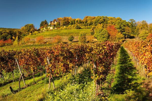 Herbstliche Landschaften bei Sankt Martin