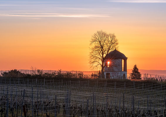 Sonnenaufgang am Deidesheimer Tempel